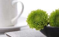 ?凈化器如何保養和清潔？