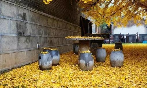 優(yōu)秀管理者：員工總是無故曠工怎么辦？