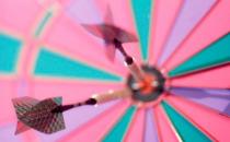 ?求職者應像這些動物一樣