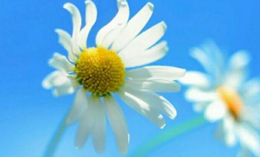 春節(jié)期間跳槽的理由：時(shí)間充裕