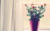 女強人愛發脾氣 如何擁有好心情？