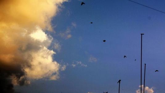 患上“網(wǎng)絡(luò)拖延癥”該怎么辦？