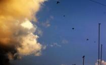 患上“網絡拖延癥”該怎么辦？