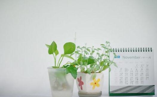 看看哪種白領減壓方法最有效