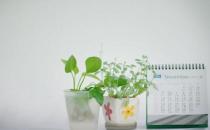 看看哪種白領減壓方法最有效