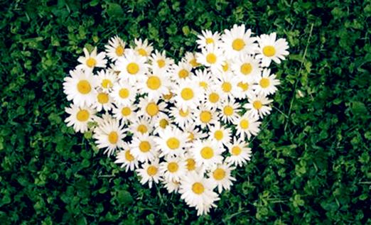 職場(chǎng)女強(qiáng)人應(yīng)該具備的心理素質(zhì)