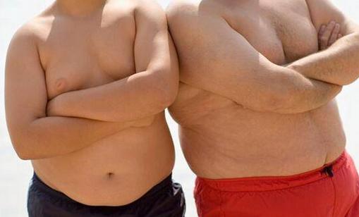 胖男人不育風險更高