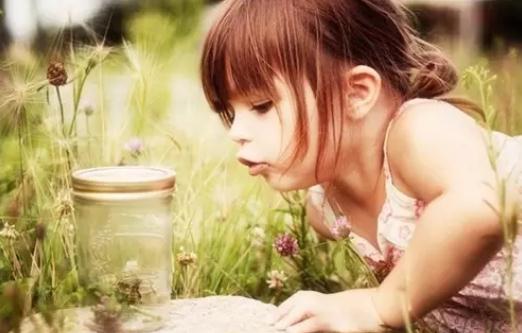 夏季準備什么東西能夠防止蚊蟲？