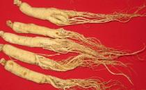 開車前不宜吃哪些藥物？