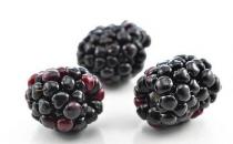 常吃桑葚有什么好處？桑葚的吃法