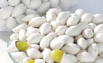 白果可以當(dāng)零食吃嗎？