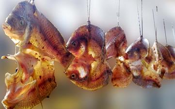 【咸魚】_咸魚的腌制方法,咸魚怎么做好吃,咸魚的做法大全 【咸魚】_咸魚的腌制方法,咸魚怎么做好吃,咸魚的做法大全