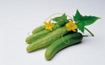 黃瓜不能和什么食物搭配吃？