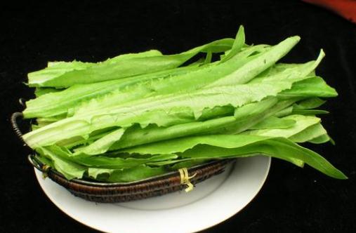 油麥菜和萵筍的營養價值大PK