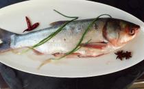 冷水魚是啥？冷水魚最美味