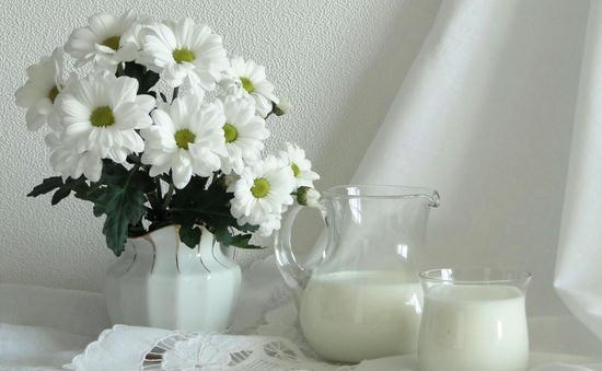 什么食物能夠預(yù)防骨質(zhì)疏松