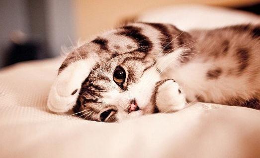 “起床氣”是如何煉成的?