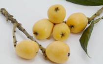 肺熱咳嗽可以吃點枇杷