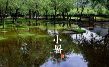 【小暑節氣】小暑是幾月幾日_小暑吃什么_小暑養生_小暑是什么意思