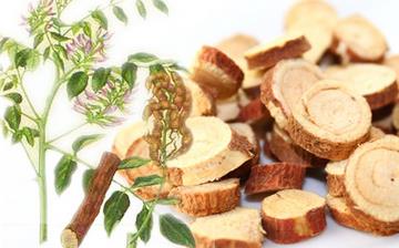 【甘草】甘草的功效和作用_甘草泡水喝的功效_甘草的藥用價值