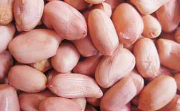 【花生米】花生米的功效與作用_吃花生會胖嗎_醋泡花生_油炸花生米