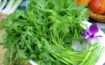 【茼蒿】茼蒿的營(yíng)養(yǎng)價(jià)值_茼蒿怎么做好吃_茼蒿的做法大全_茼蒿怎么吃