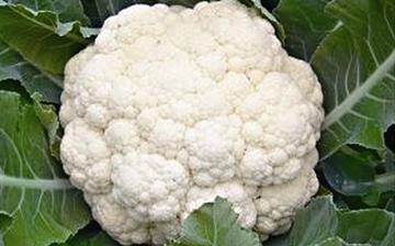 【菜花】花椰菜_花菜_菜花的營養(yǎng)價(jià)值_菜花怎么做好吃_菜花的做法大全 【菜花】花椰菜_花菜_菜花的營養(yǎng)價(jià)值_菜花怎么做好吃_菜花的做法大全