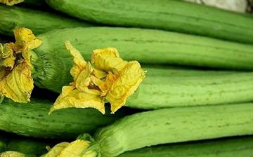 【絲瓜】絲瓜的功效與作用營養價值_絲瓜怎么做好吃_絲瓜的做法大全 【絲瓜】絲瓜的功效與作用營養價值_絲瓜怎么做好吃_絲瓜的做法大全