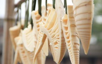 【竹筍】竹筍的營養價值_竹筍怎么做好吃_竹筍的做法大全_孕婦能吃竹筍嗎 【竹筍】竹筍的營養價值_竹筍怎么做好吃_竹筍的做法大全_孕婦能吃竹筍嗎