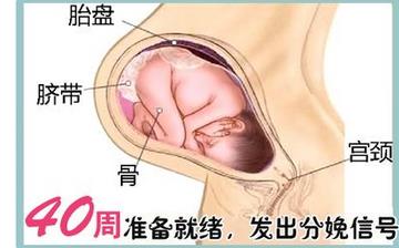 【懷孕40周】懷孕40周發(fā)育指標檢查_懷孕40周胎兒變化_媽媽狀態(tài)_懷孕40周注意事項