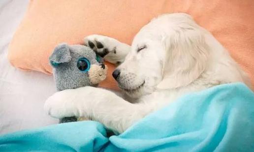 熬夜后如何保健養(yǎng)生？