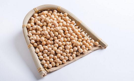 黃豆的營養價值竟然那么強大？