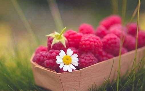 如何讓母親度過一個快樂的晚年？