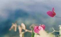 一定要堅持這些衛生習慣