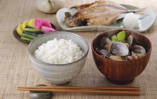 剩飯剩菜應該怎么處理