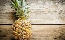 鳳梨和菠蘿有啥區別