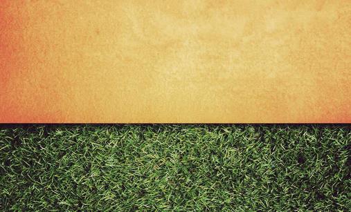 墻壁發霉了該怎么辦