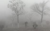 霧霾天應該怎鍛煉