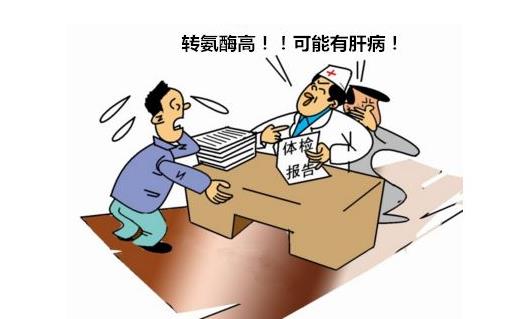 轉氨酶高會帶來什么危害