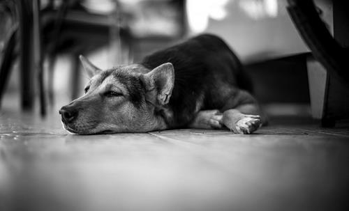 生活懶散竟也有那么多危害!