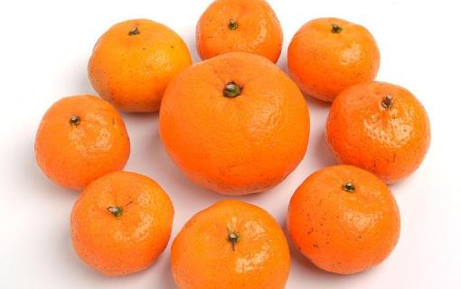 柑橘家族里有5大營養高手