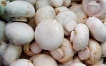 預(yù)防癌癥從飲食開(kāi)始 教你用飲食抗擊八種癌癥