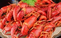 龍蝦雖營養 但4類人要望而卻步