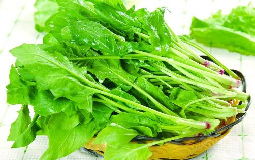 孕媽飲食很關鍵 孕期吃哪些食物會傷害胎兒