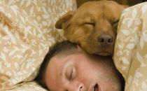 做噩夢小心患這些疾病！