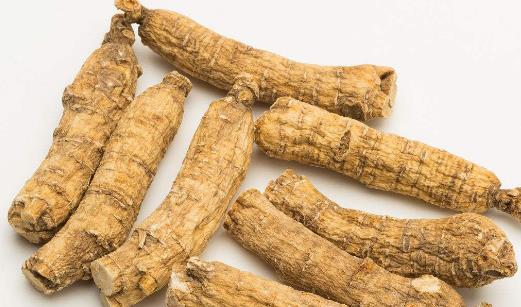 西洋參片可以直接吃嗎 直接嚼服吸收好