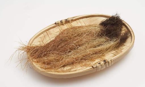 玉米須竟然能夠降血糖？