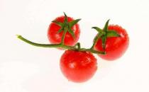 孕婦適量食用酸味水果 促進食欲養護胎兒