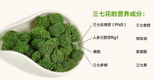 三七茶的功效與作用 功能竟如此強大