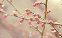 2019年雨水節氣是農歷幾月幾日 2019年雨水時間